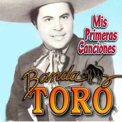 Cover of Mis Primeras Canciones