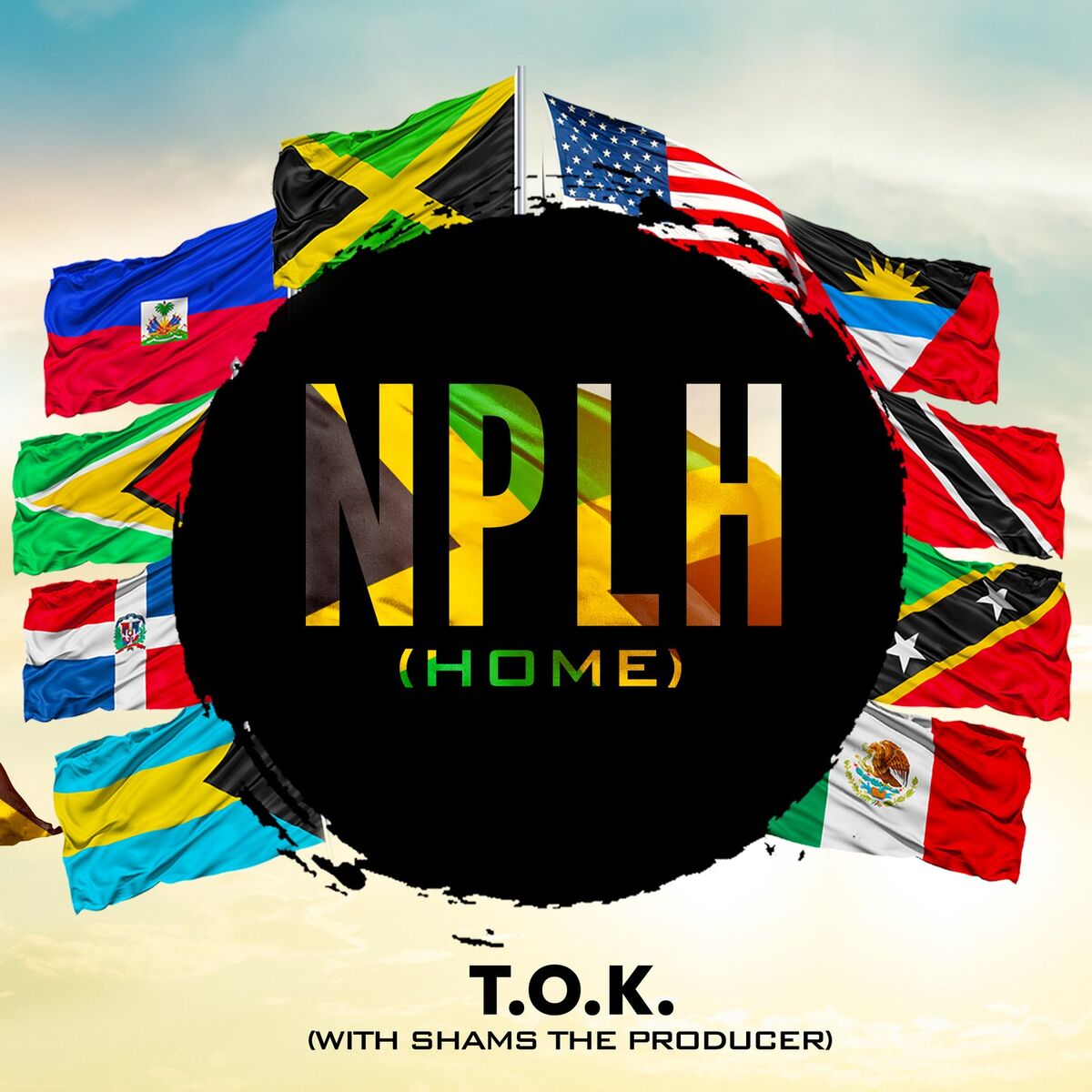 Album cover of NPLH (Home)
