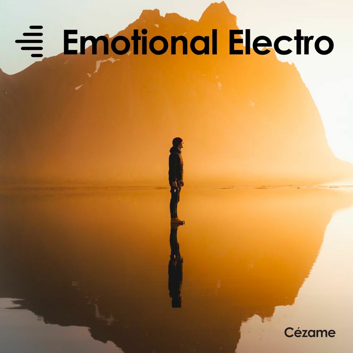 Album cover of Emotional Electro
