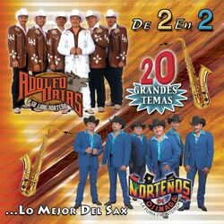 Cover of De 2 En 2 - 20 Grandes Temas...Lo Mejor Del Sax
