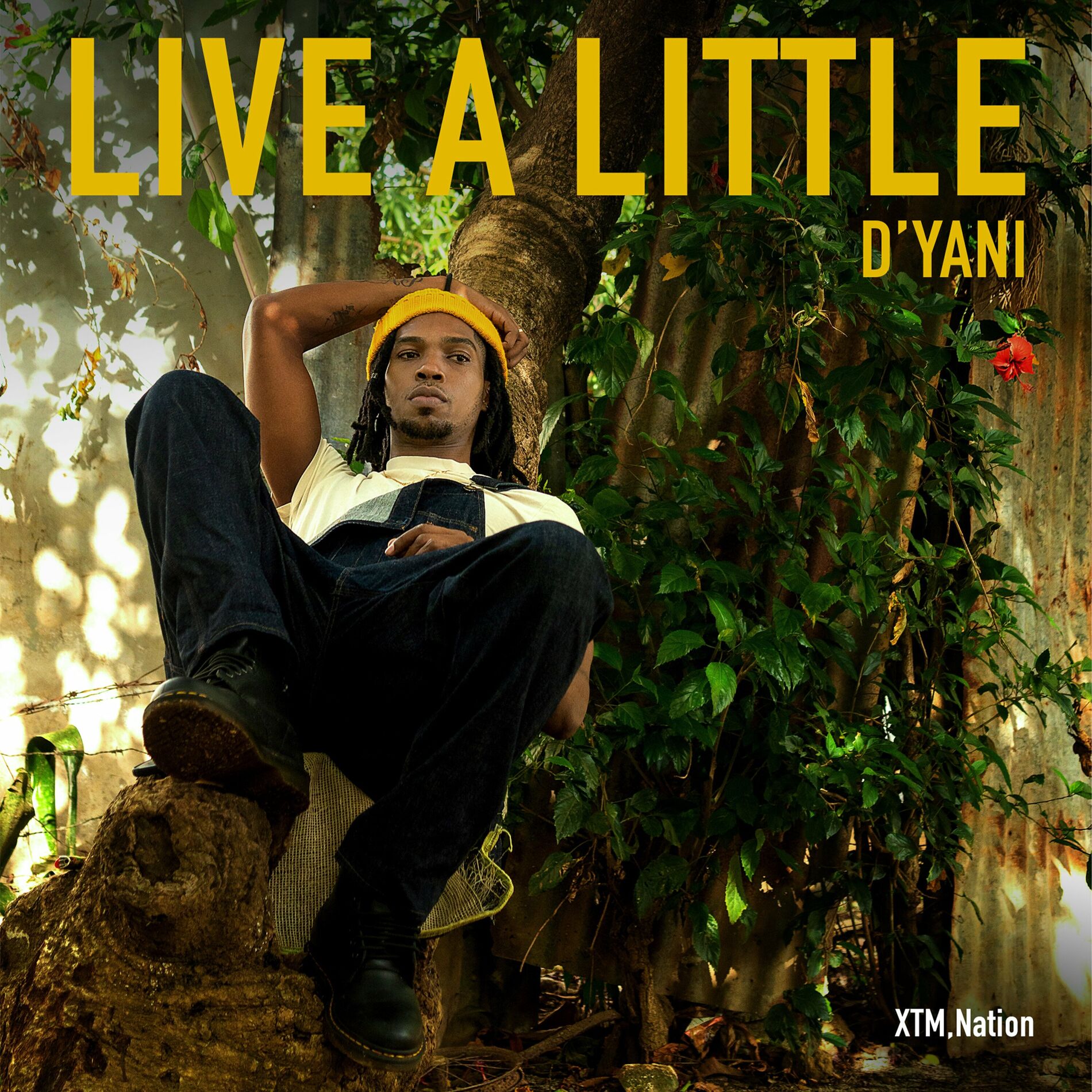 Album cover of LIVE A LITTLE