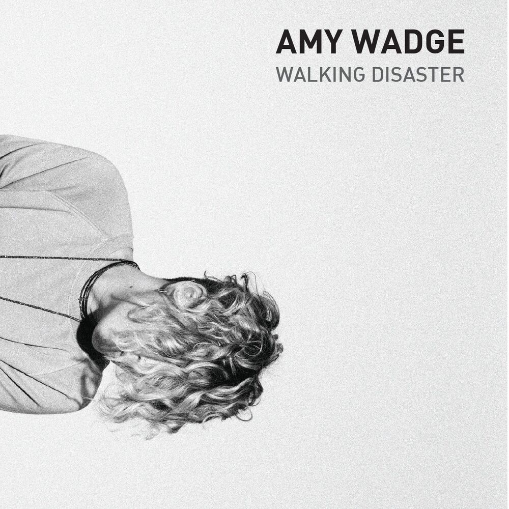 Picture of Walking Disaster