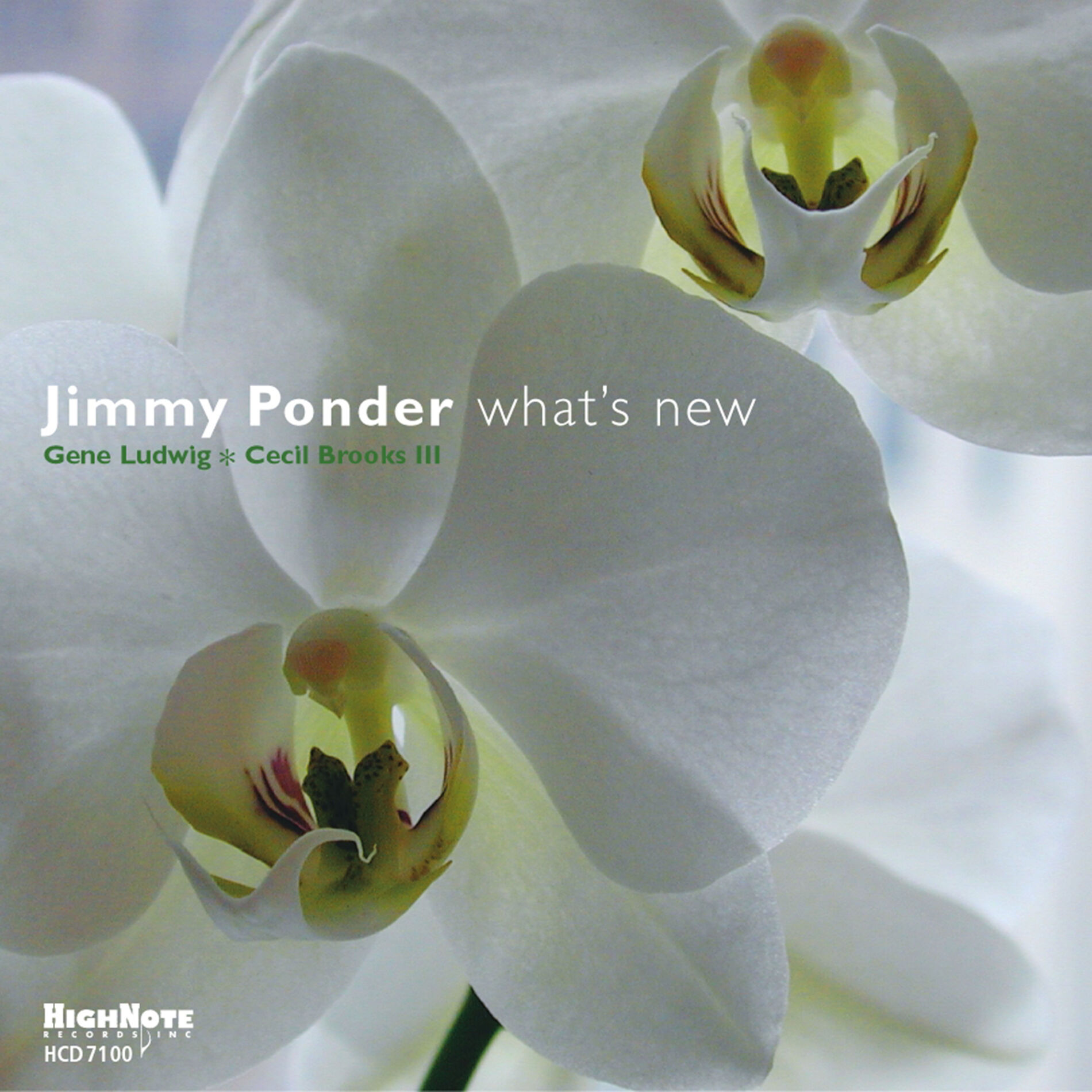 Album cover of T N T