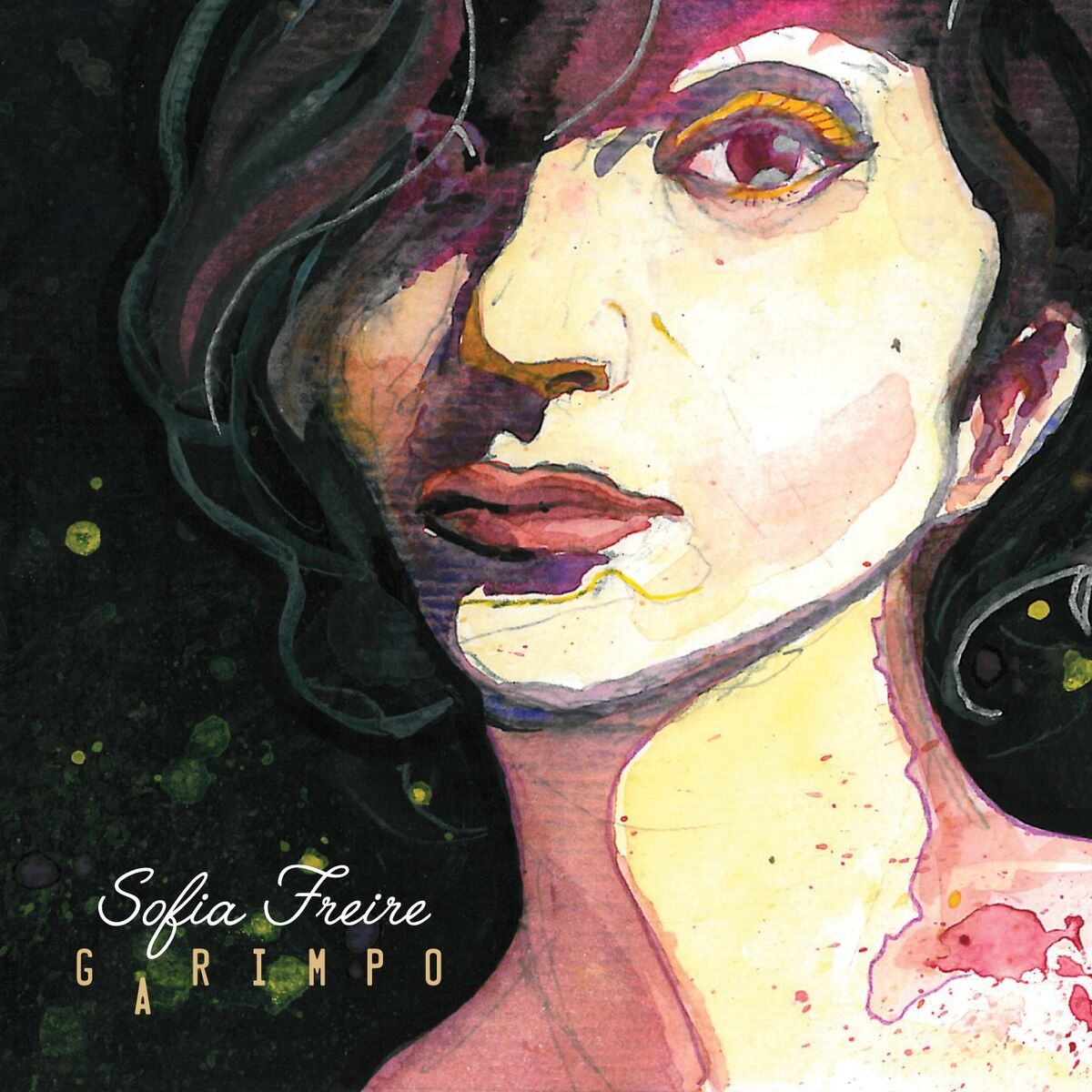 Album cover of Garimpo