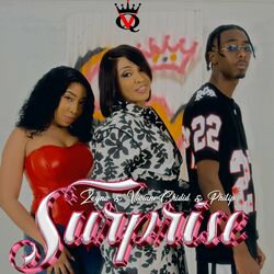 Cover of Surprise