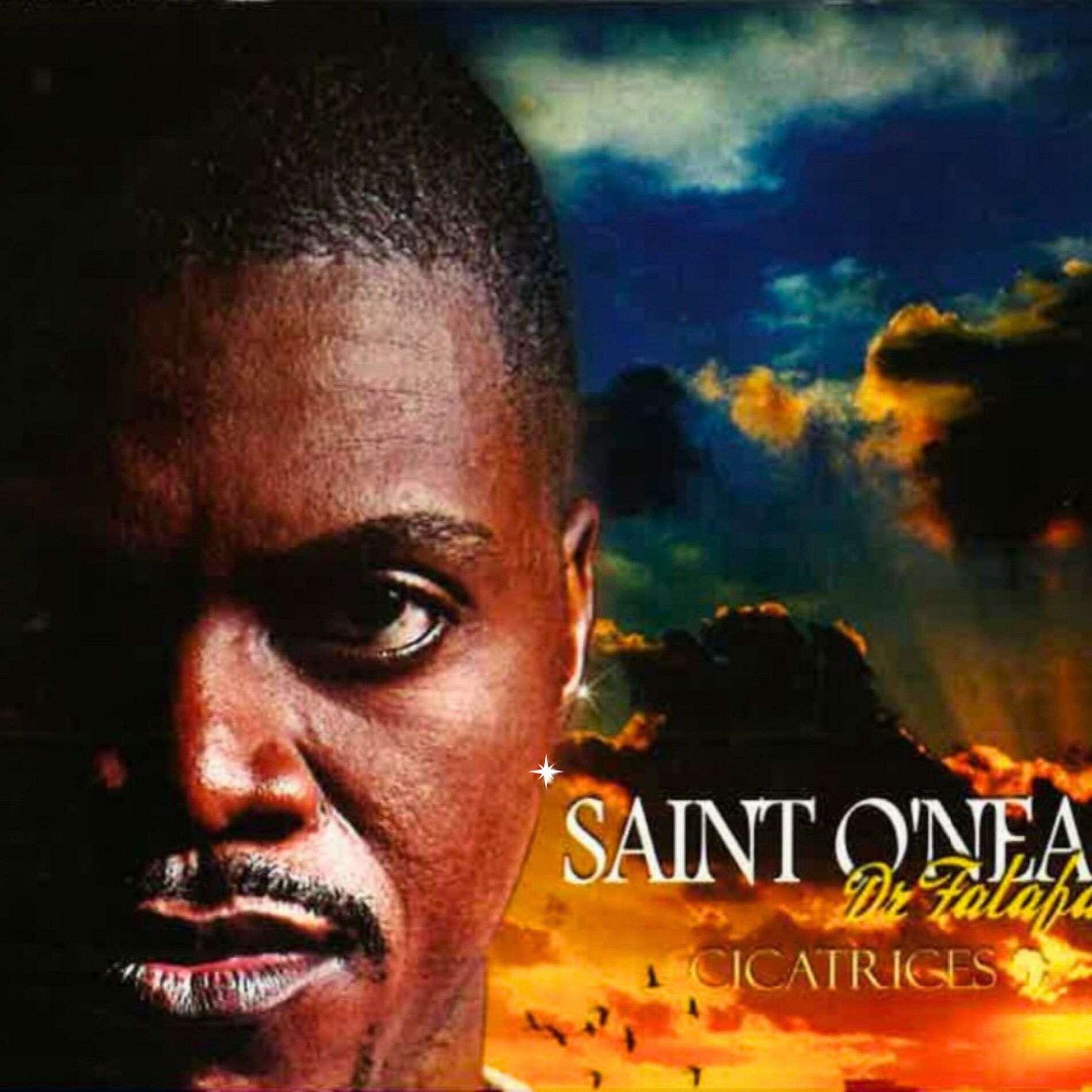 Album cover of CICATRICES