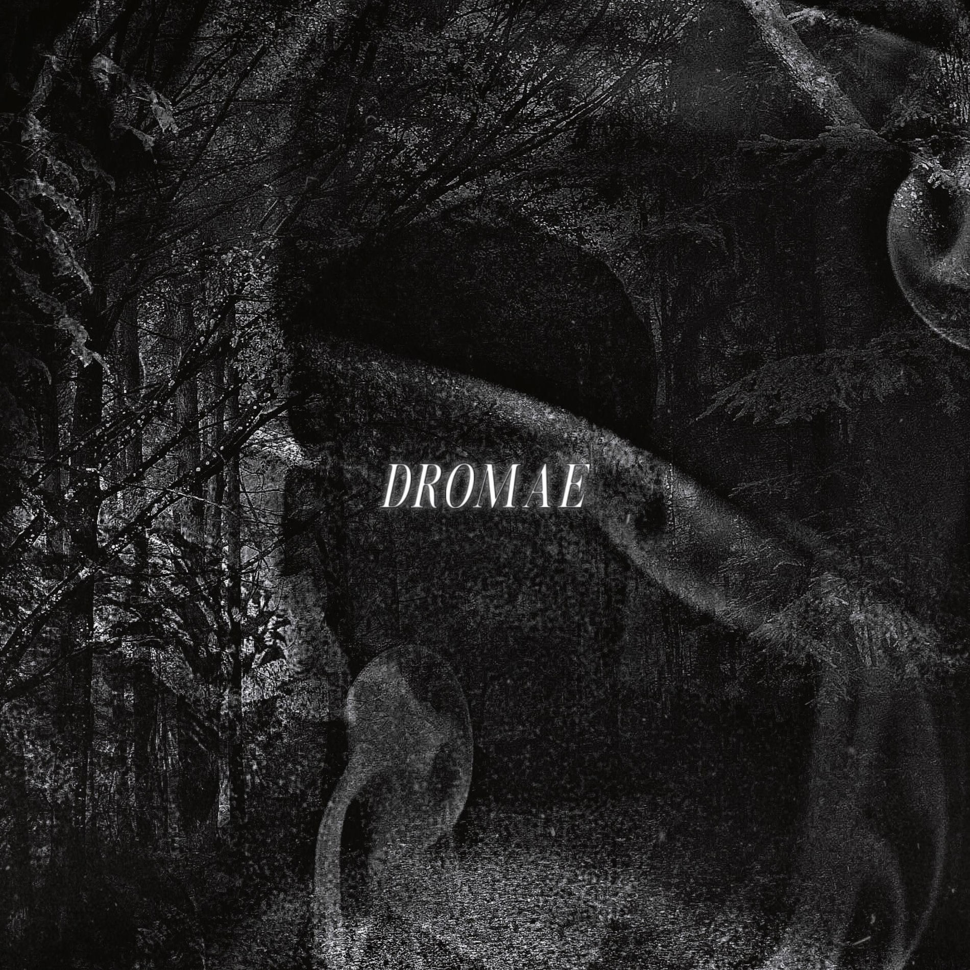 Album cover of DROMAE