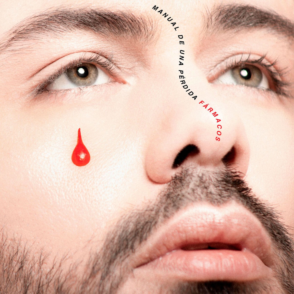 Album cover of Manual de una Pérdida