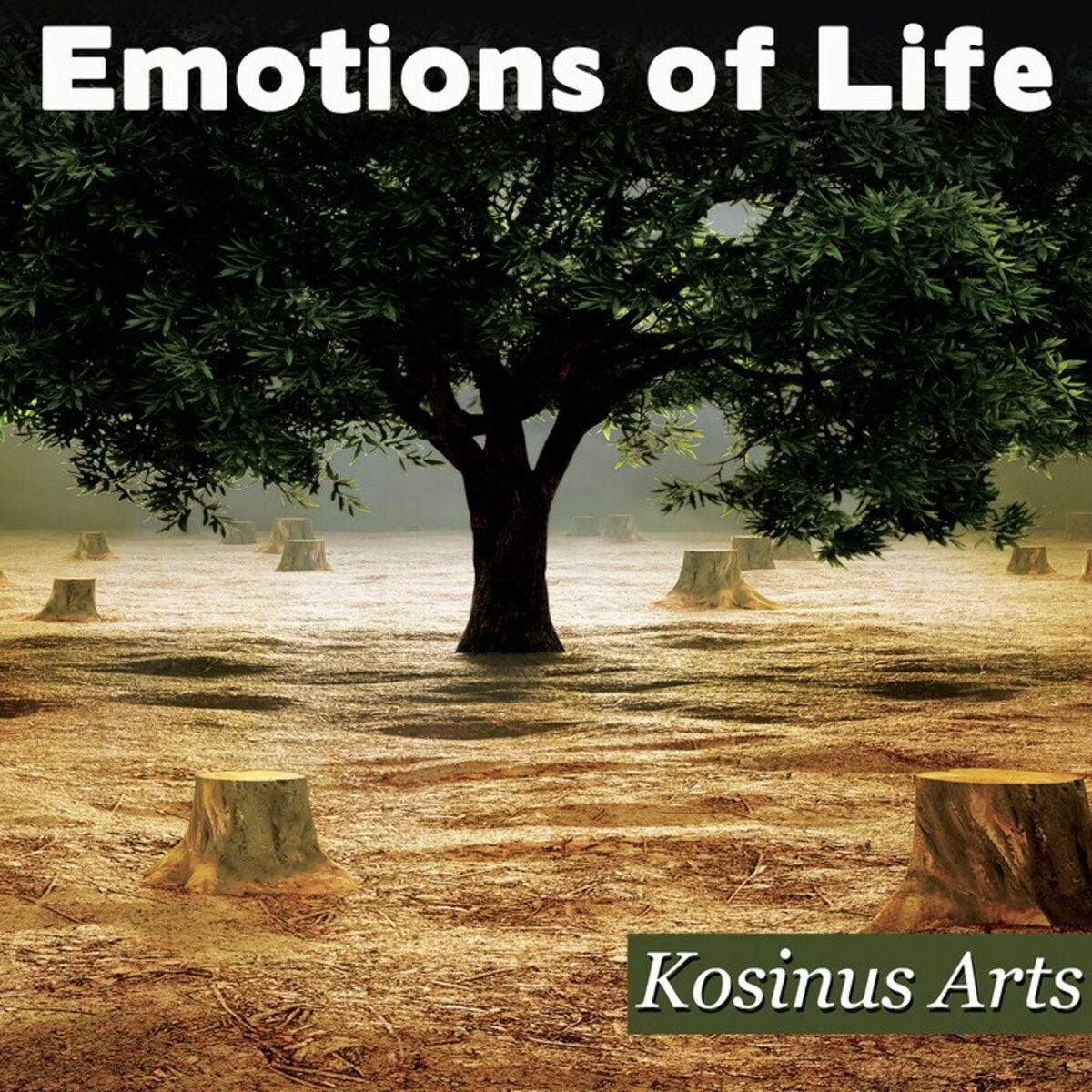 Album cover of Emotions Of Life