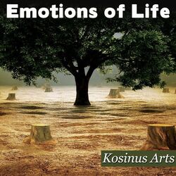 Cover of Emotions Of Life