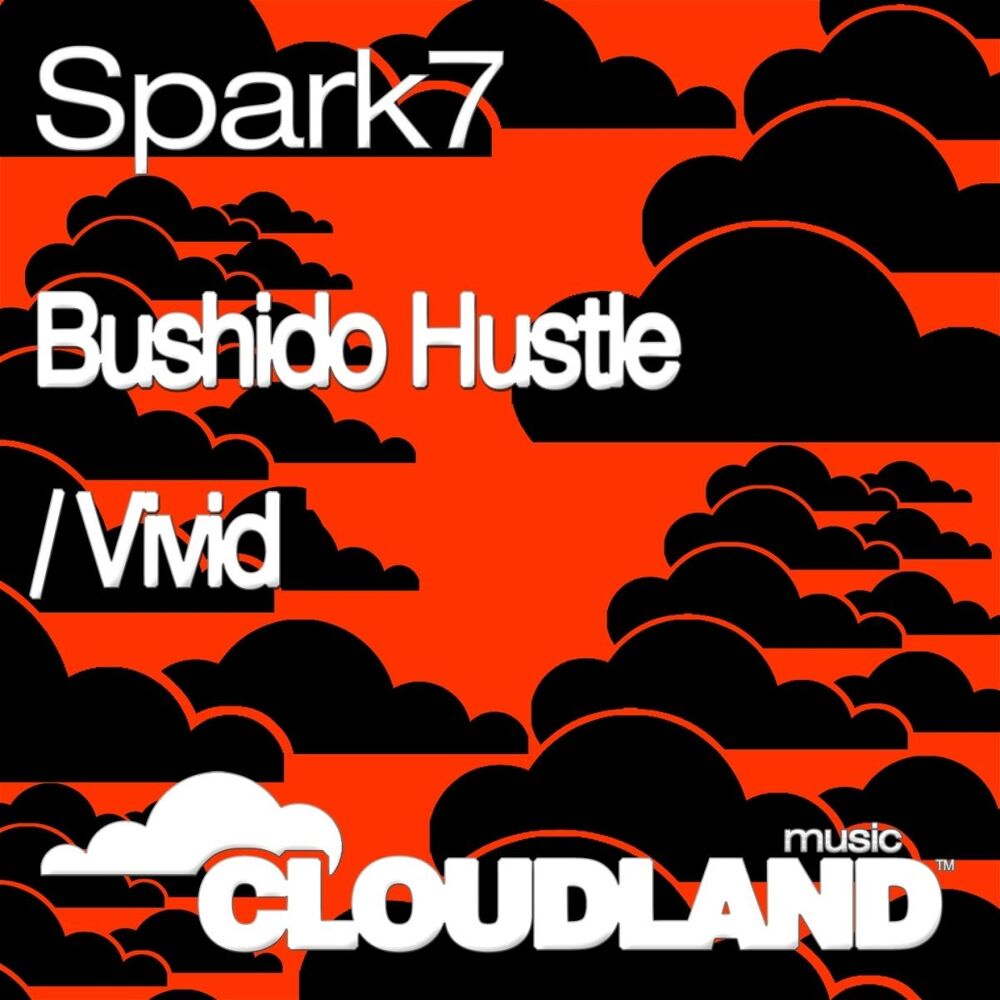 Picture of Bushido Hustle / Vivid