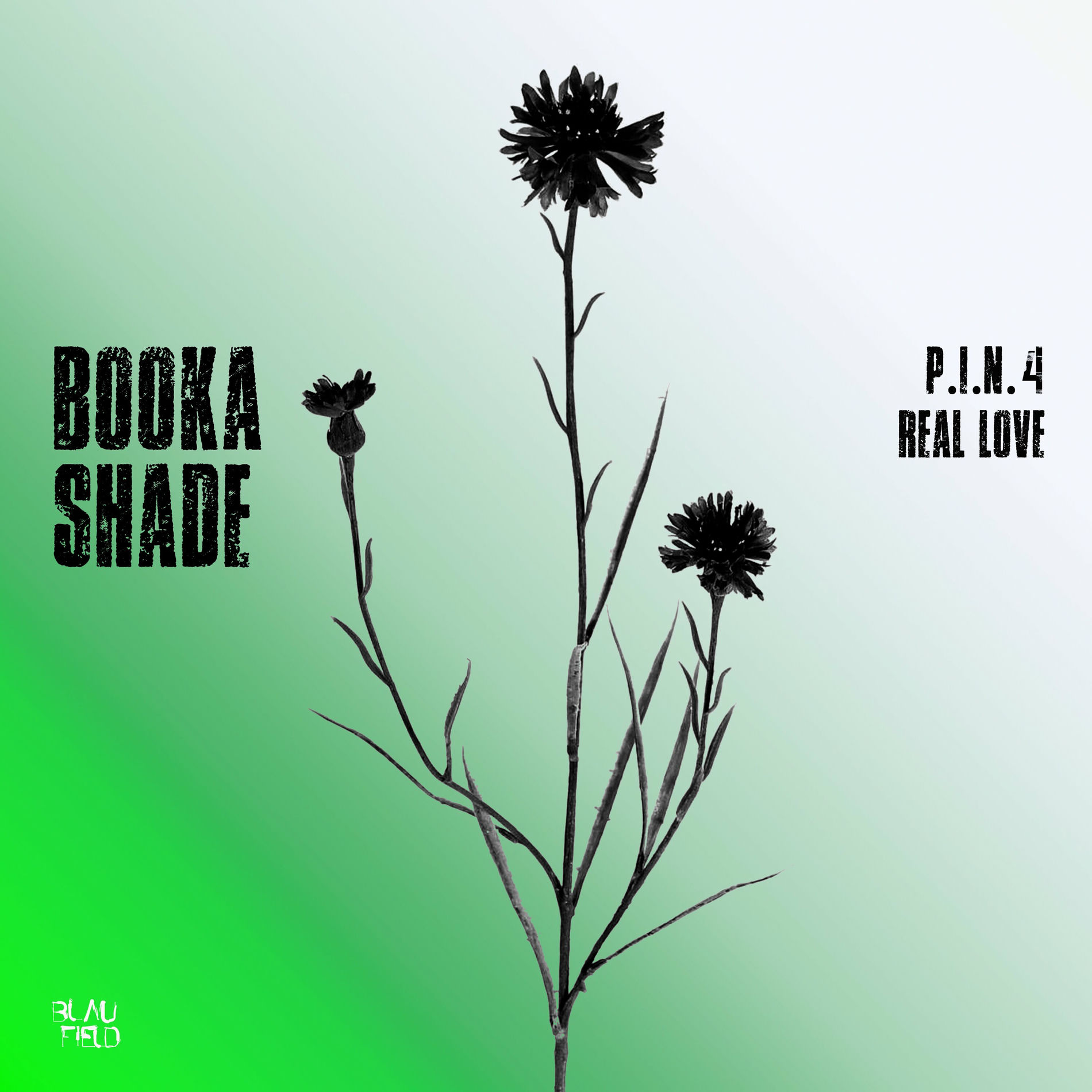 Album cover of P.I.N. 4 / Real Love