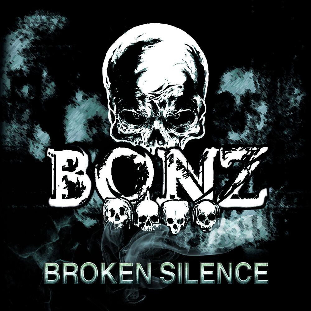 Picture of Broken Silence