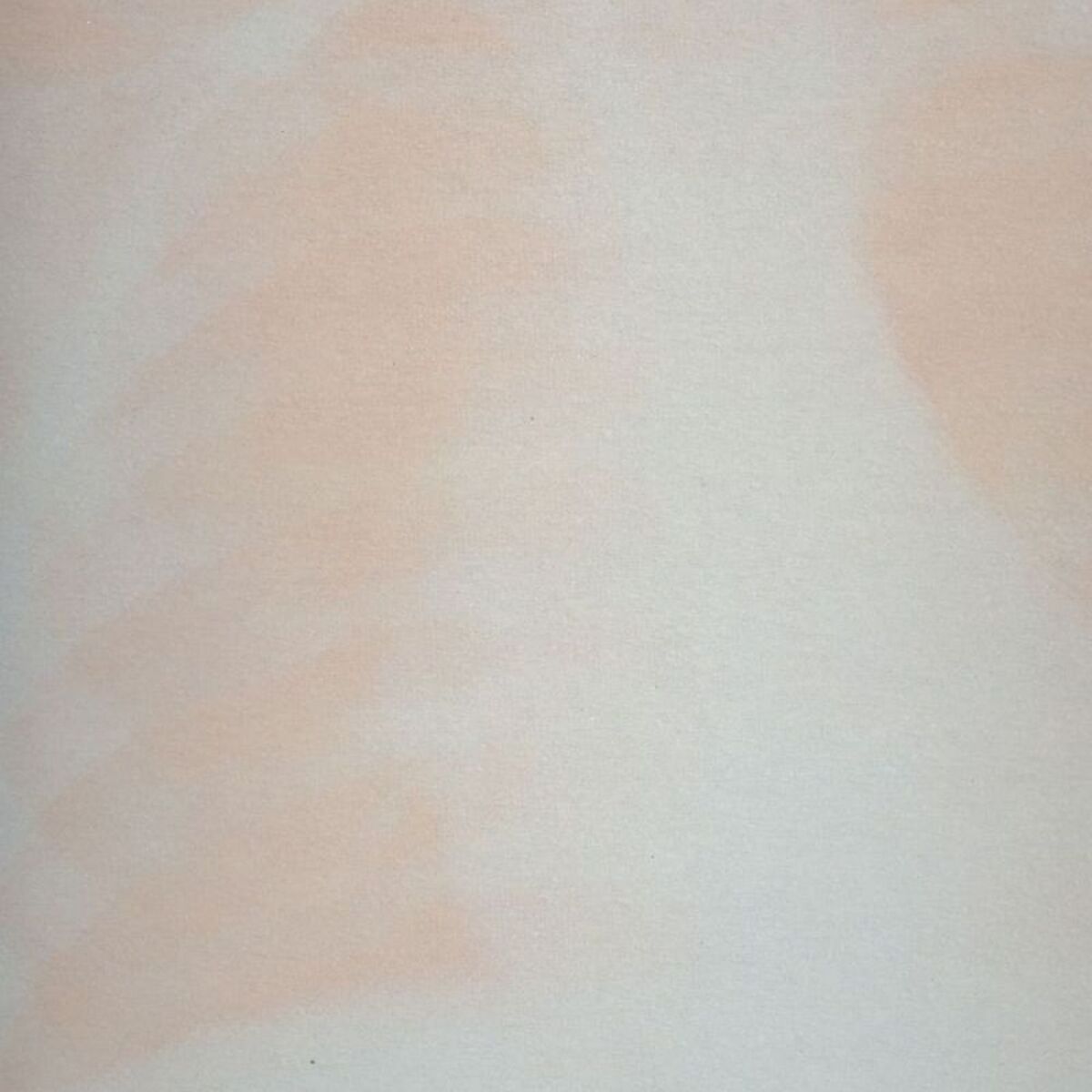 Album cover of Long Time No See