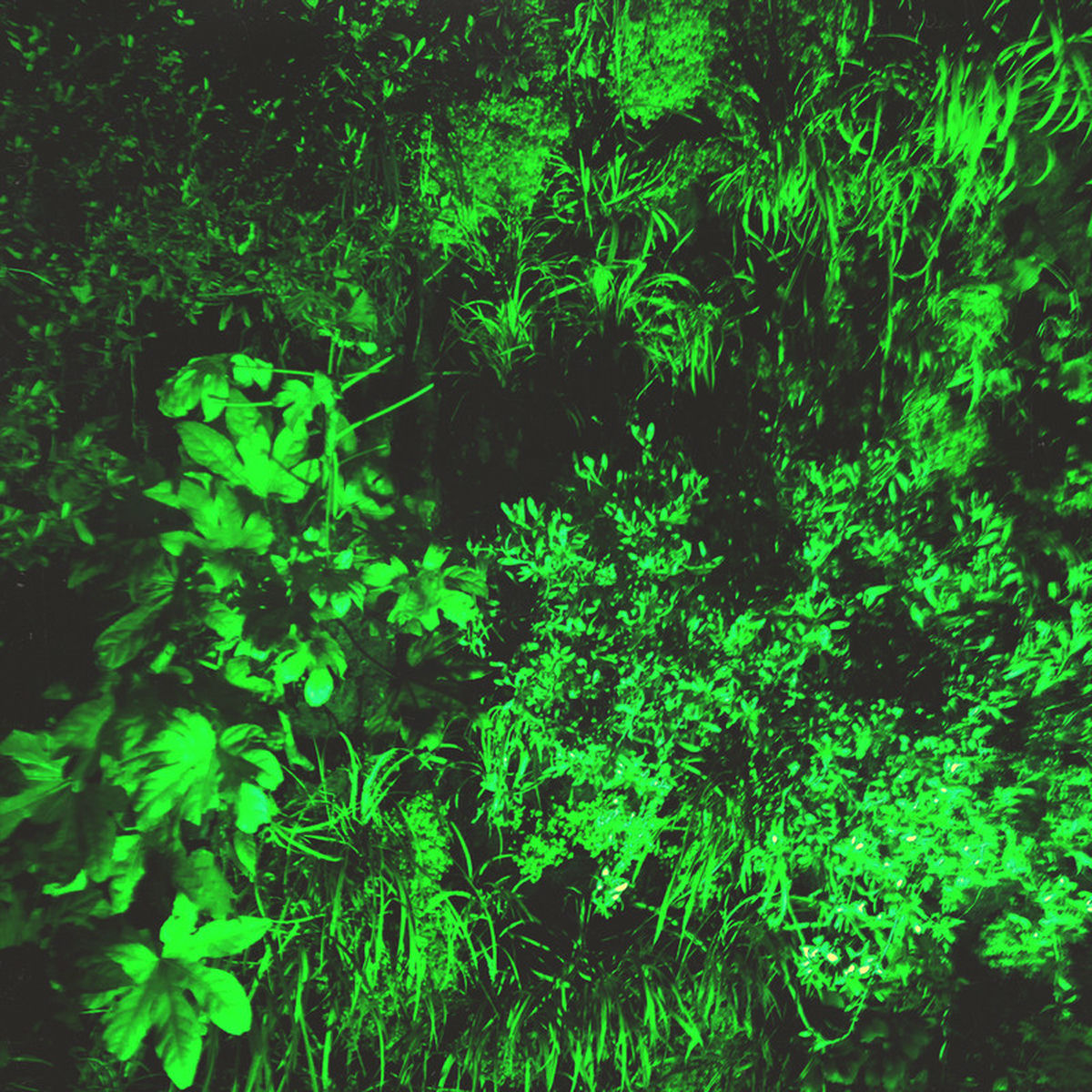 Album cover of I Follow Rivers