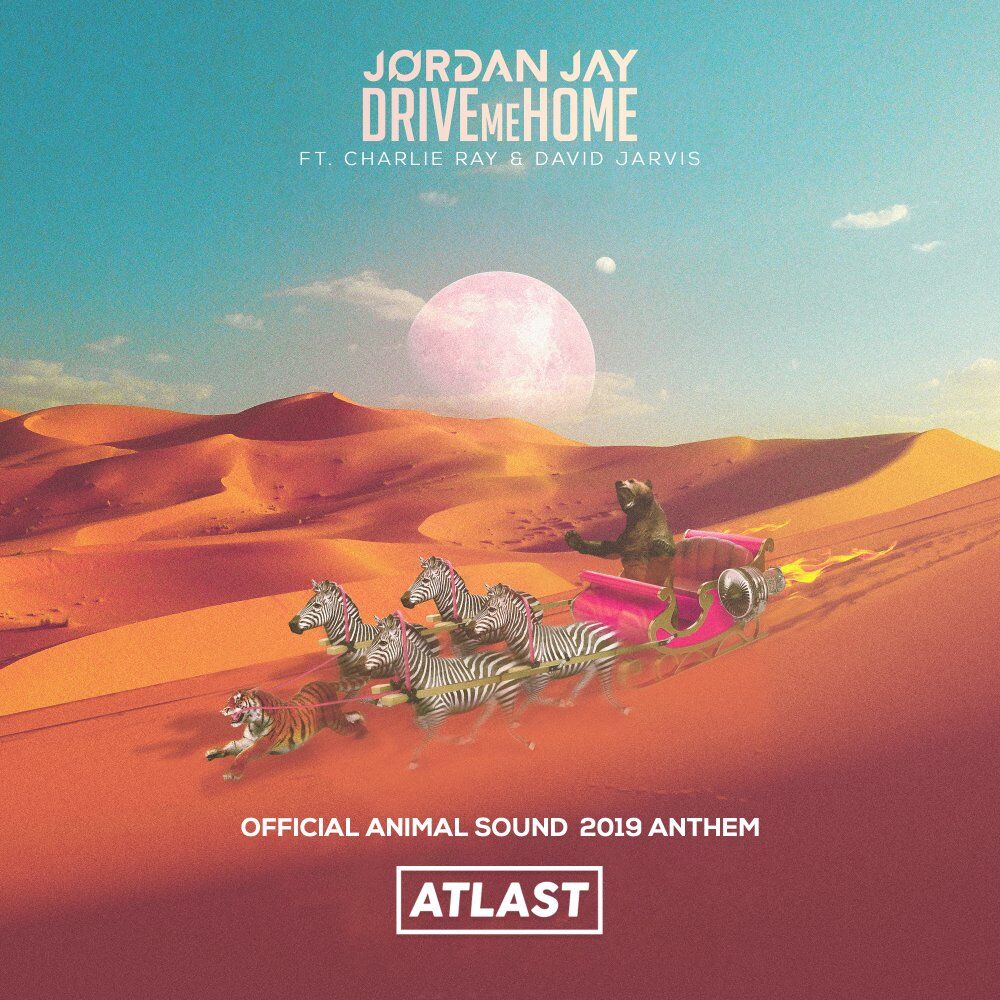 Picture of Drive Me Home (Official Animal Sound 2019 Anthem)