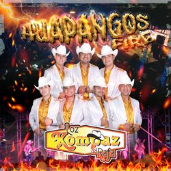 Cover of Huapangos Fire