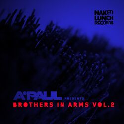 Cover of Brothers In Arms, Vol.2
