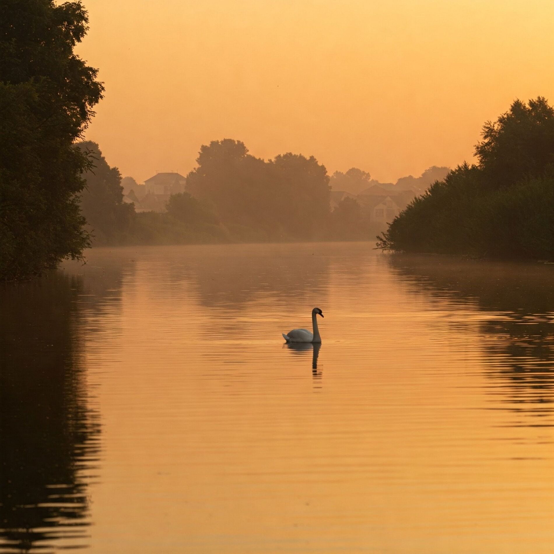Album cover of Silent River