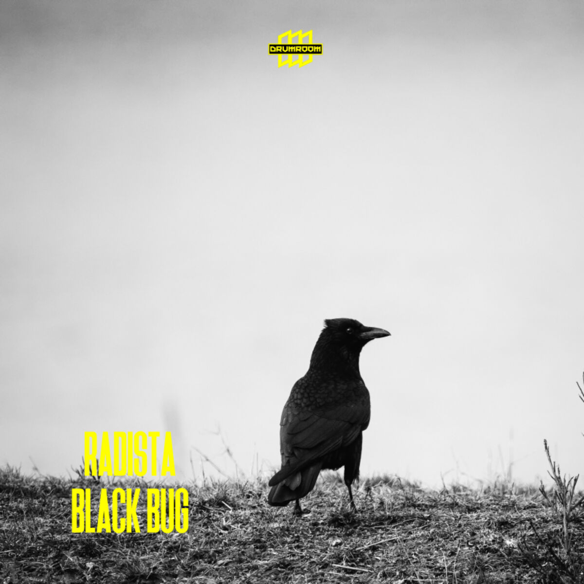 Album cover of Black Bug