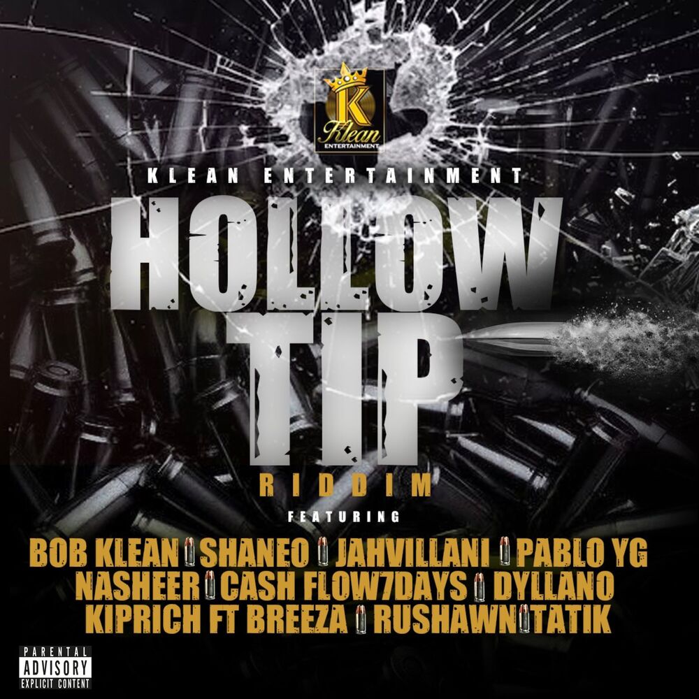 Picture of Hollow Tip Riddim