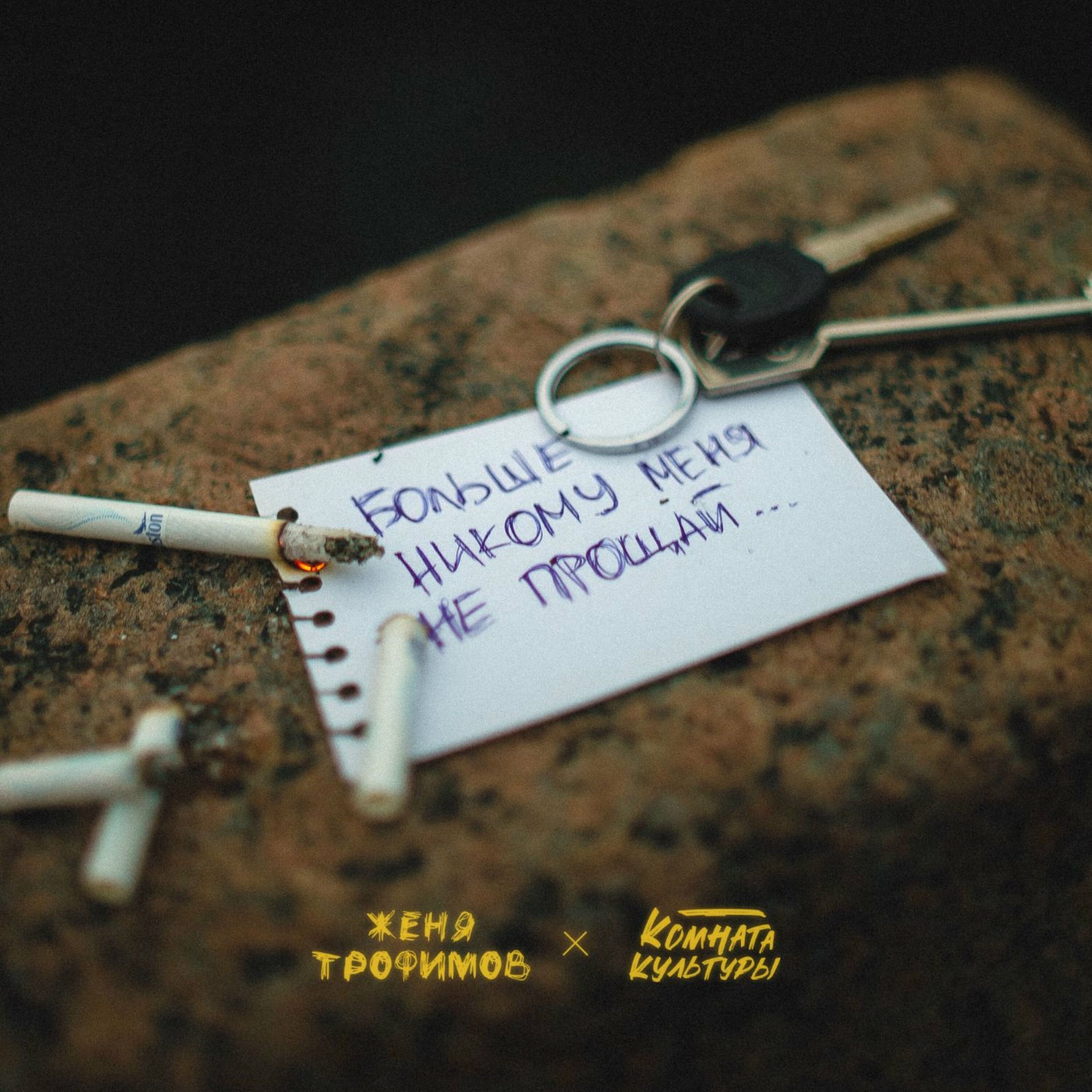 Album cover of Больше никому меня не прощай