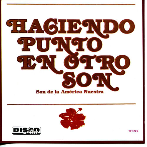 Melodía en el Caño by Haciendo Punto en Otro Son - 133 BPM