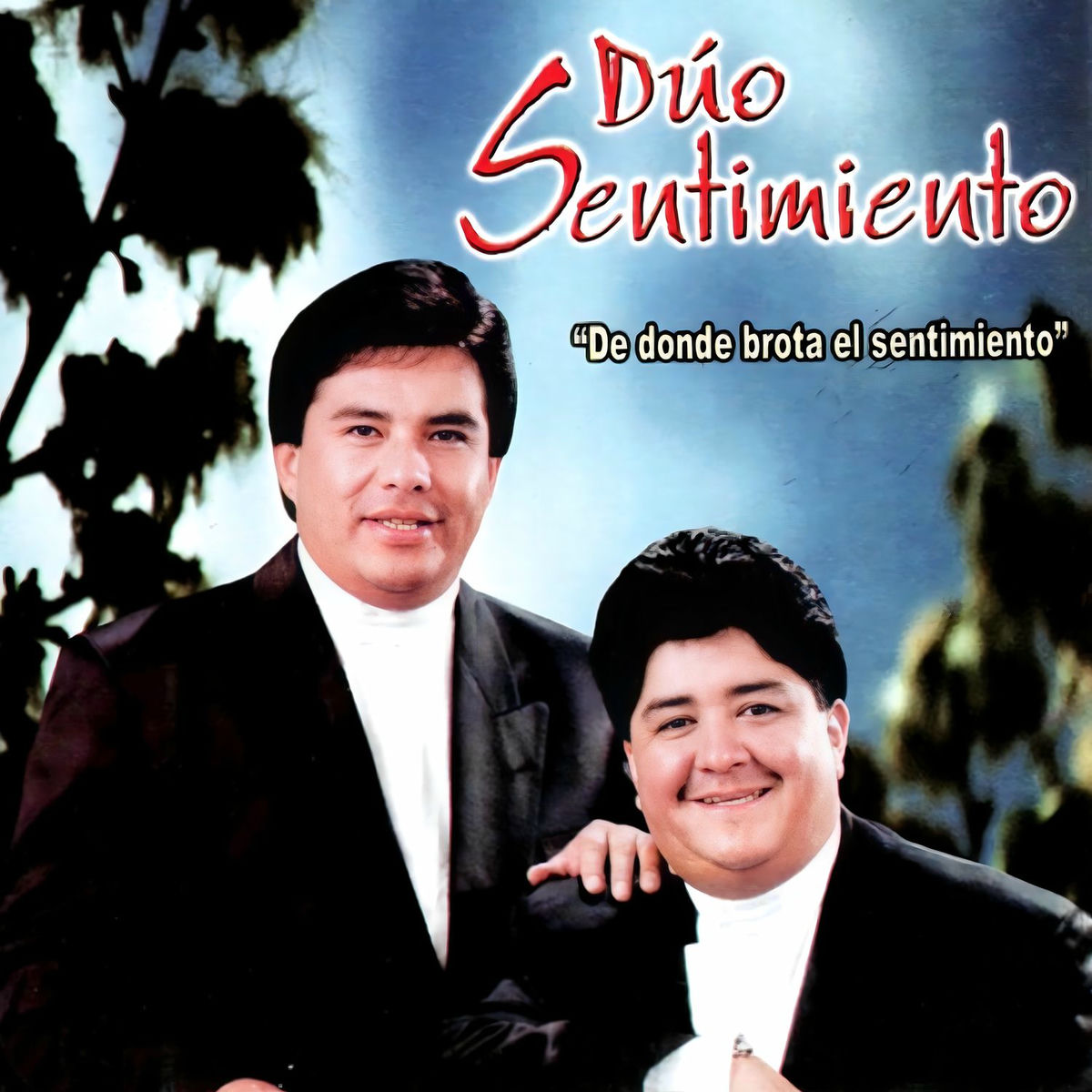 Album cover of De Donde Brota el Sentimiento