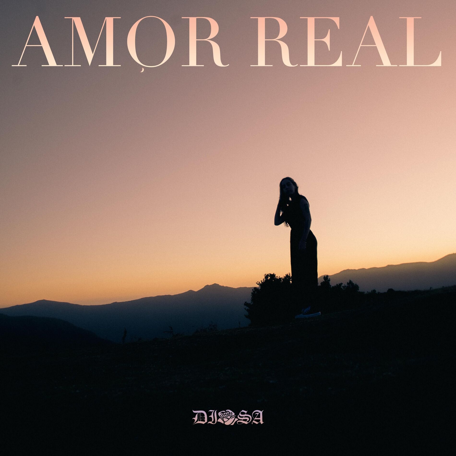 Album cover of AMOR REAL