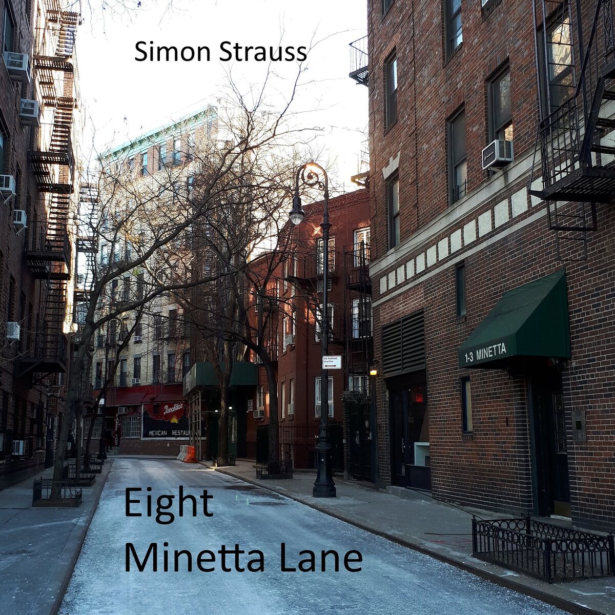 Album cover of Eight Minetta Lane