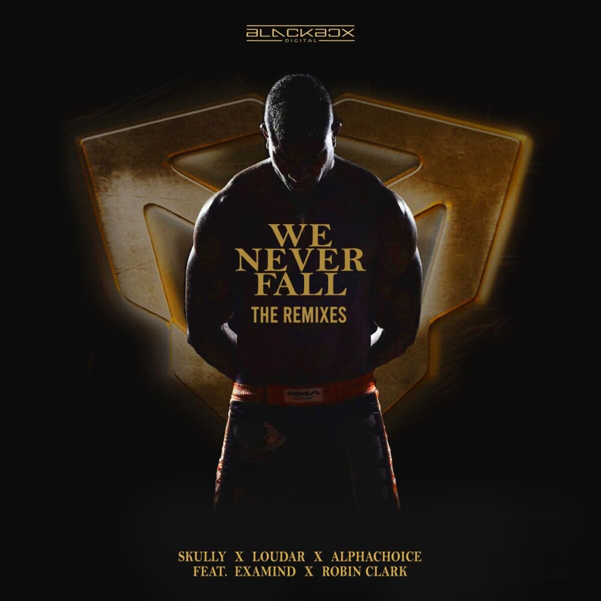 Album cover of We Never Fall - The Remixes