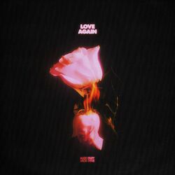 Cover of Love Again