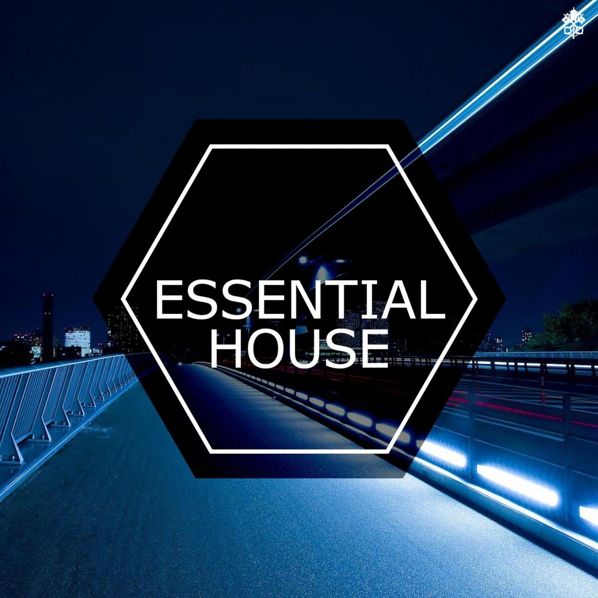 Album cover of Essential House