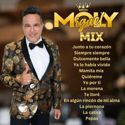 Cover of Mix: Junto a Tu Corazón/Siempre Siempre/Dulcemente Bella/Ya Lo Había Vivido/Mamita Mía /Quiéreme/Yo por Ti/La Morena/Te Lloré/En A