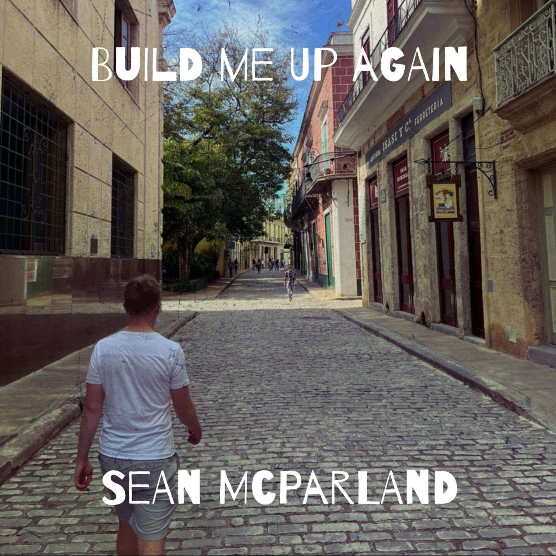 Album picture of Build Me Up Again