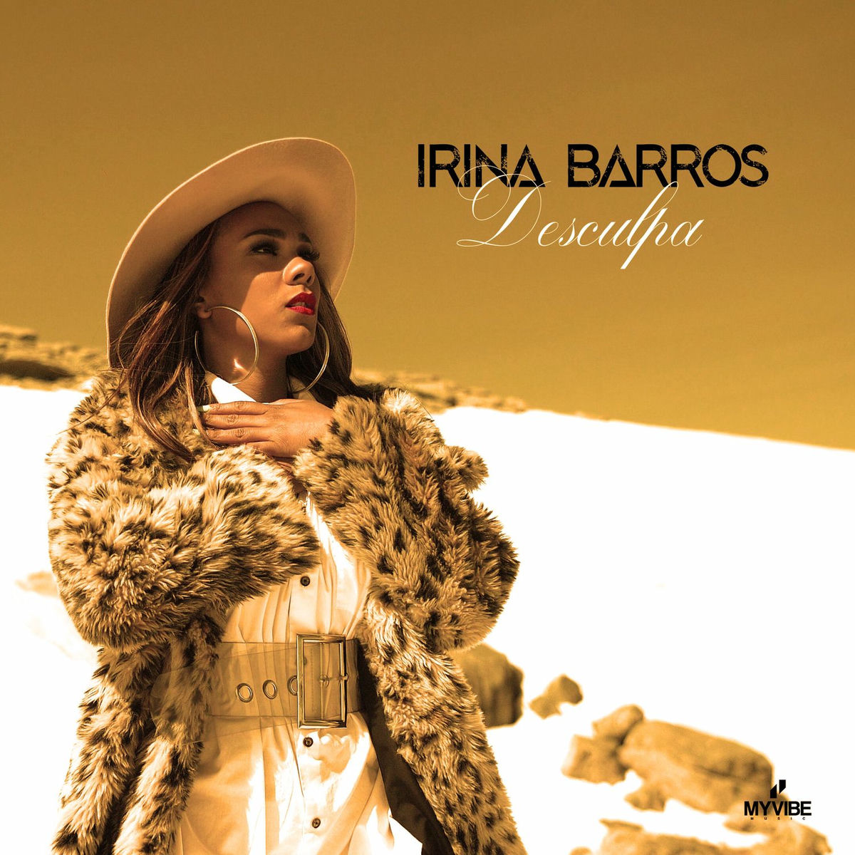 Album cover of Desculpa