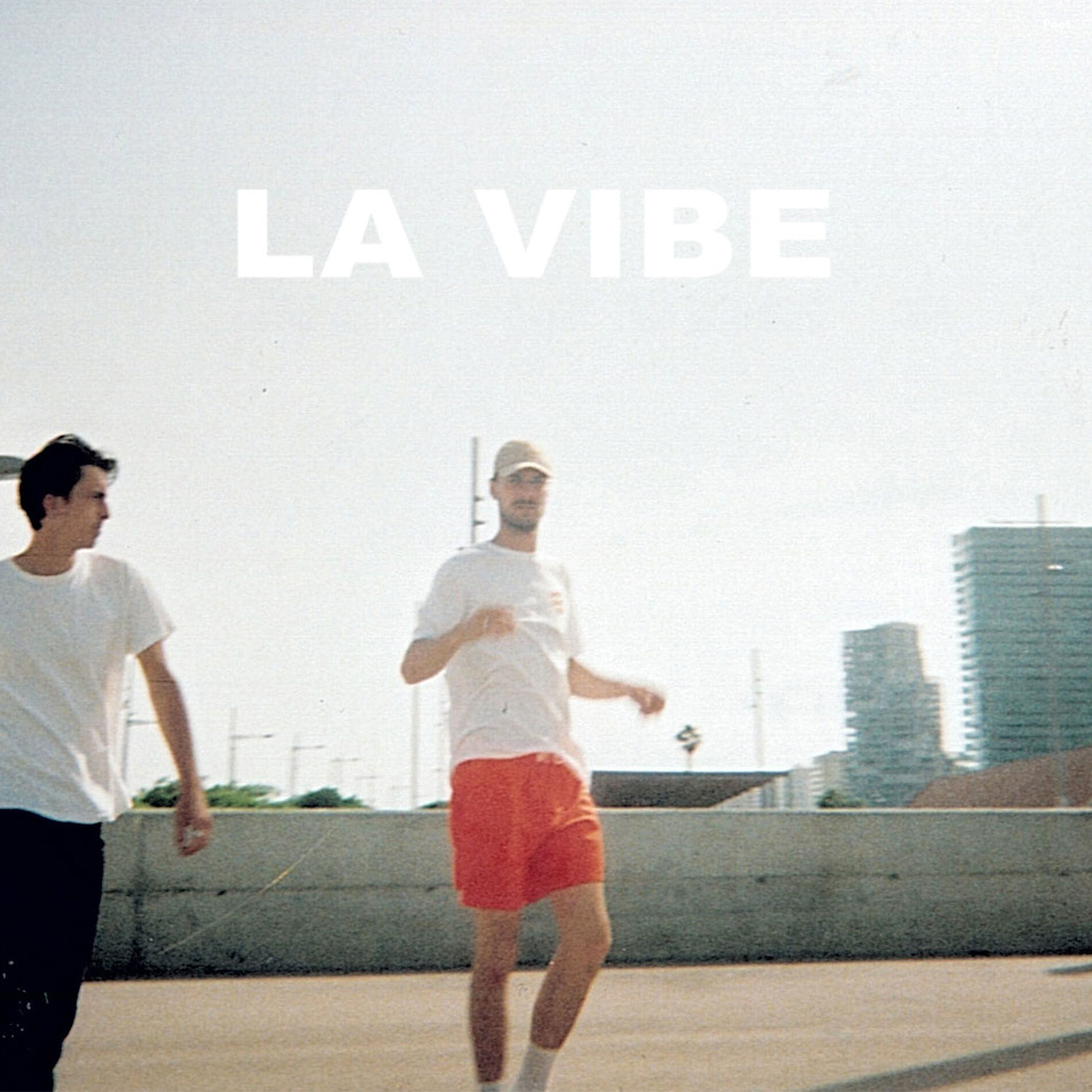 Album cover of La vibe