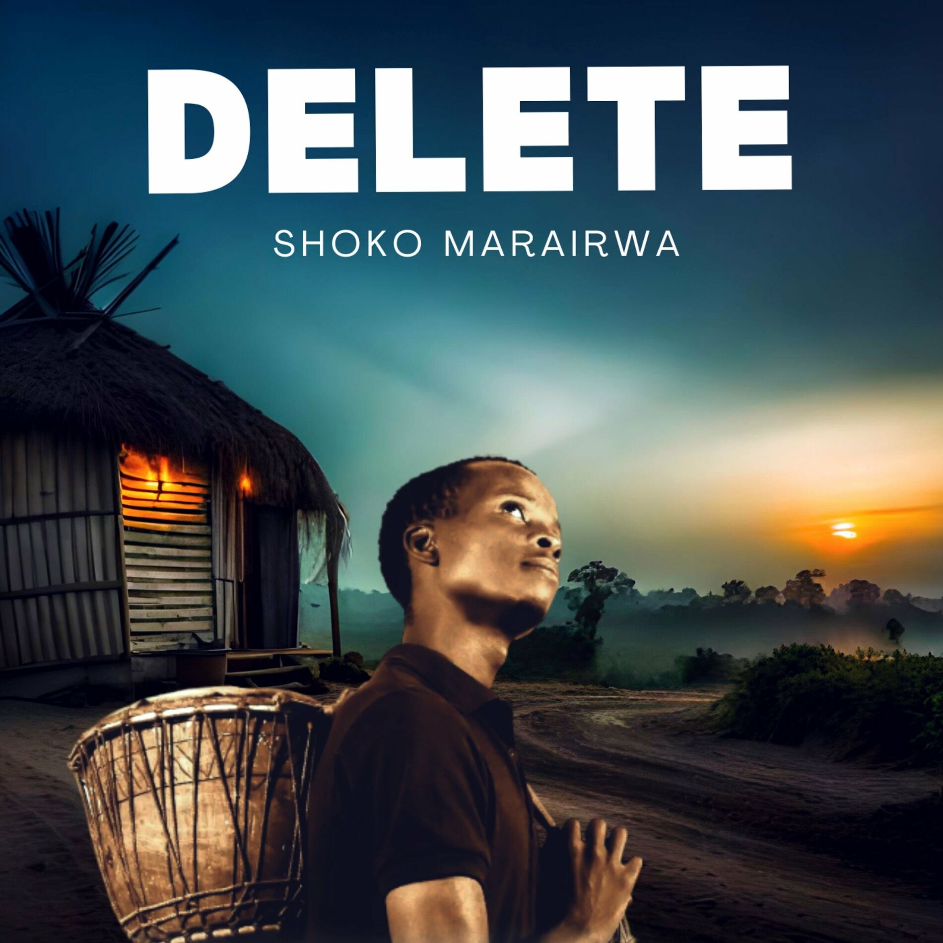 Album cover of Shoko Marairwa