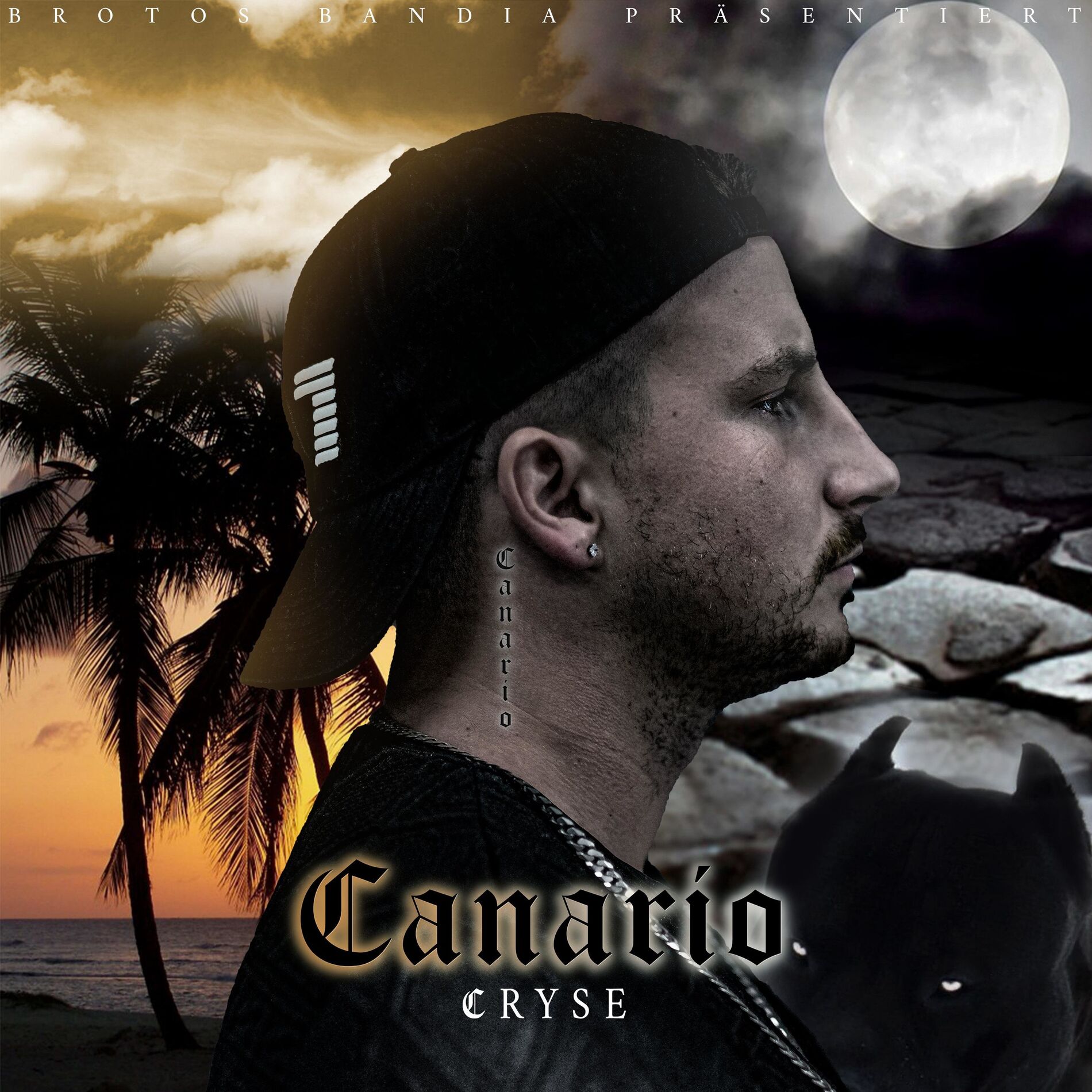 Album cover of Canario