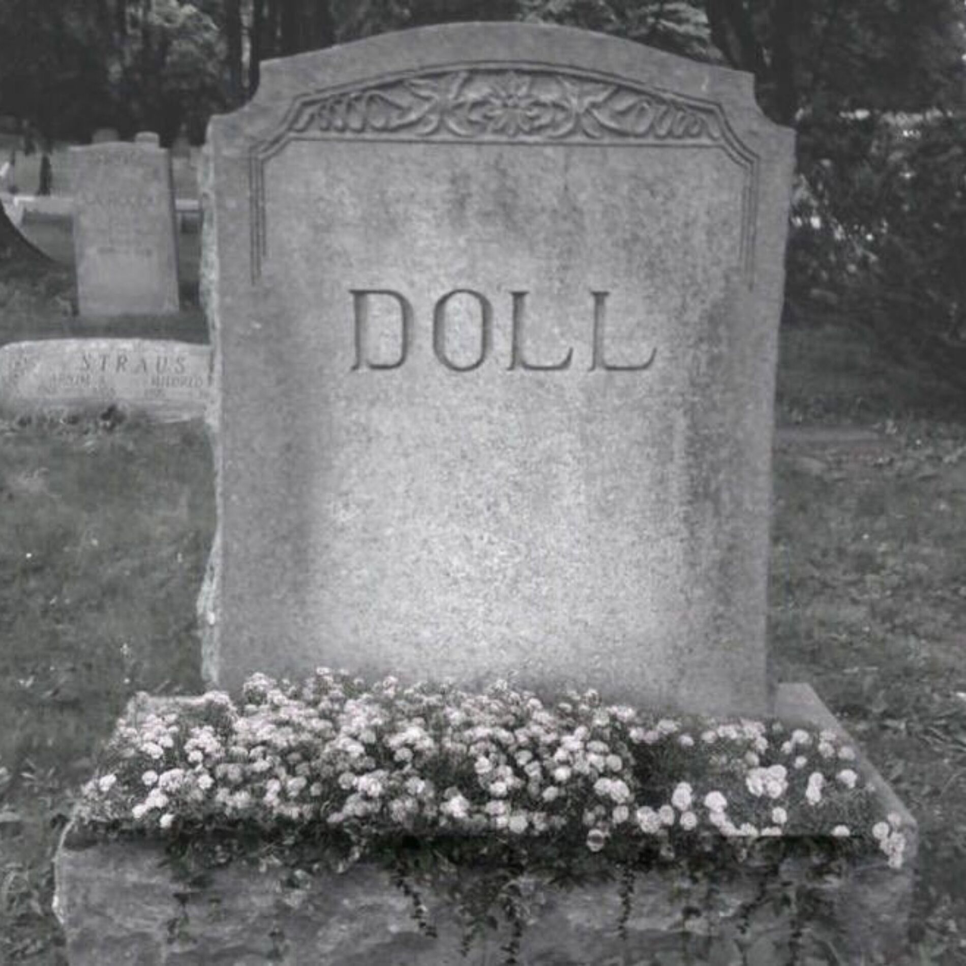 Album cover of DOLL