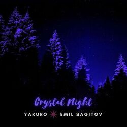 Cover of Crystal Night