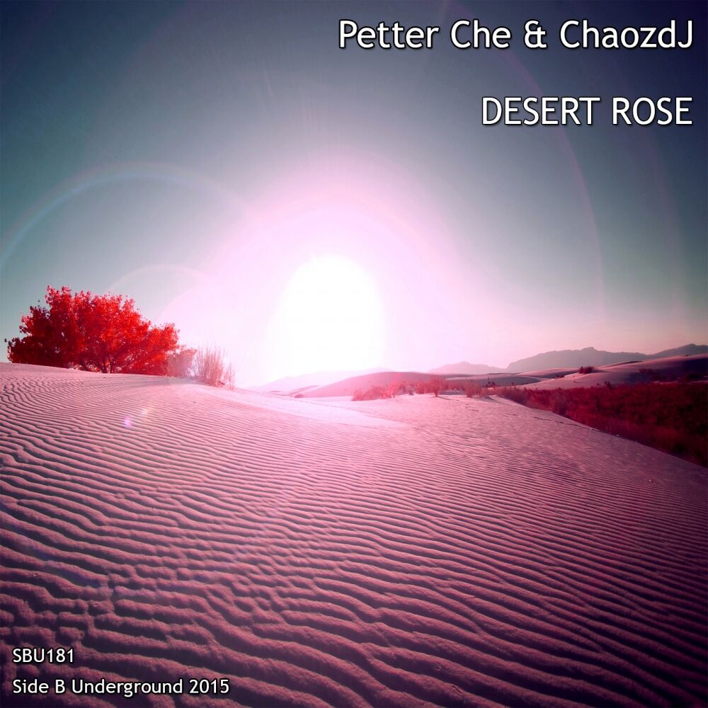 Picture of Desert Rose