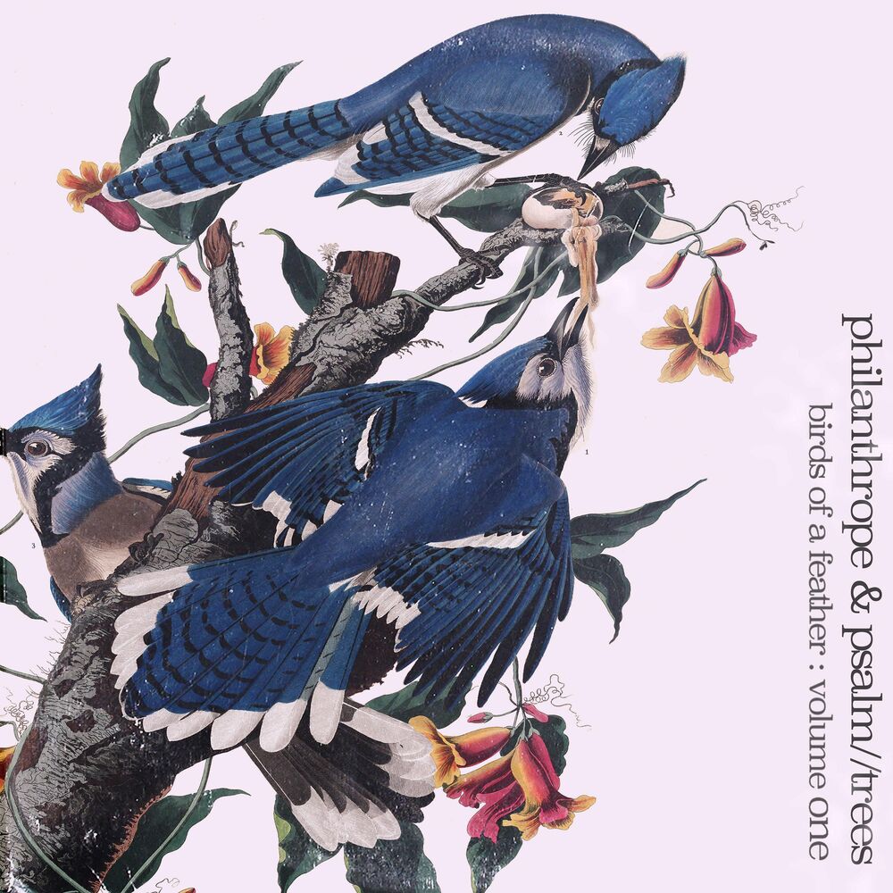 Picture of Birds of a Feather, Vol. 1