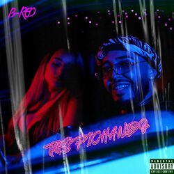 Cover of Tas Pichando