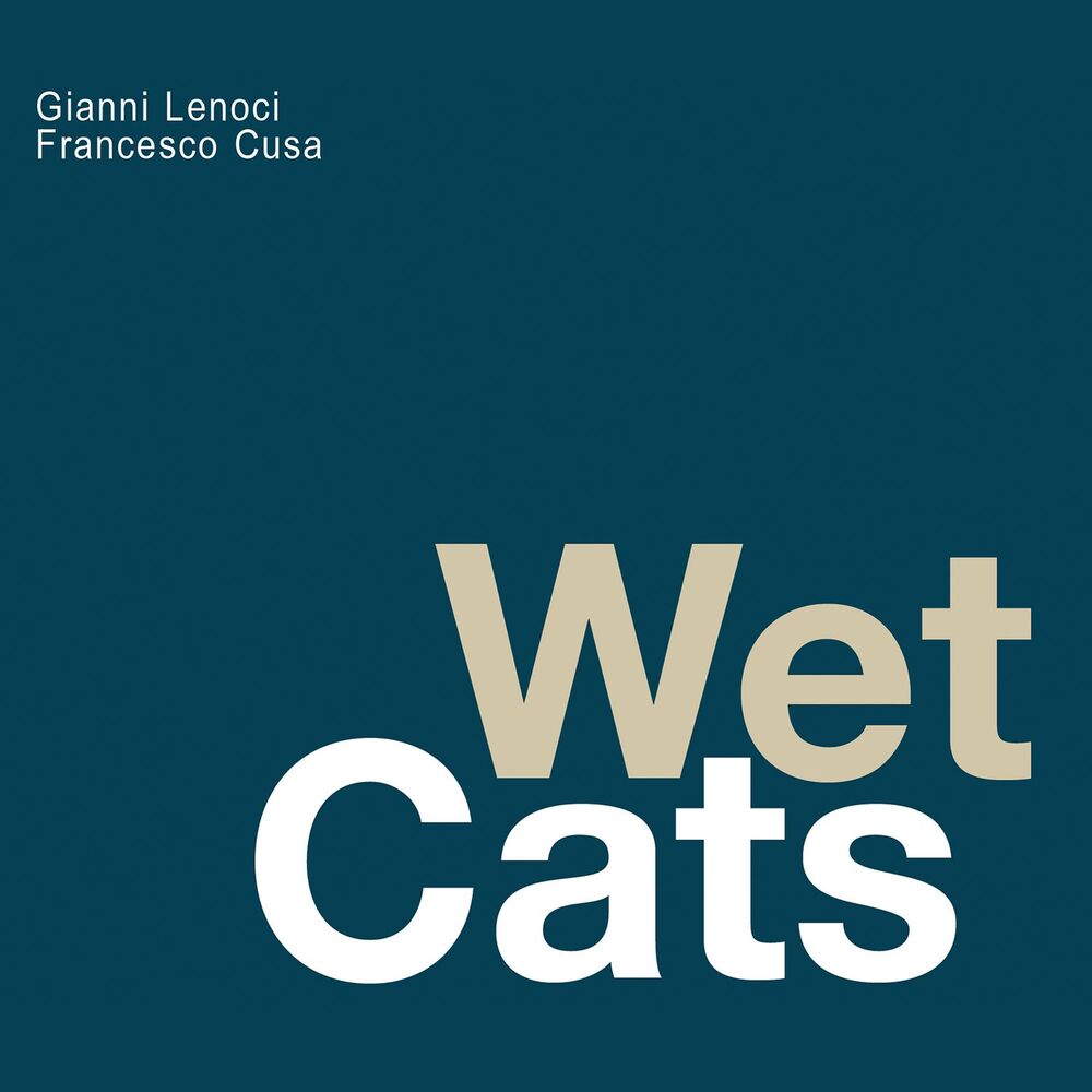 Picture of Wet Cats