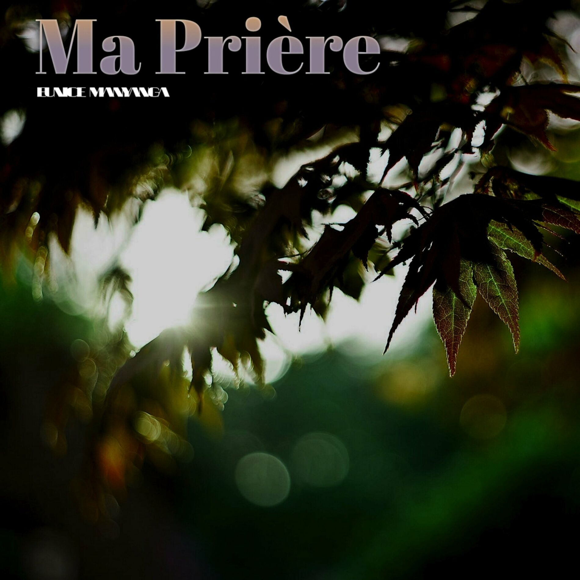 Album cover of Ma Prière
