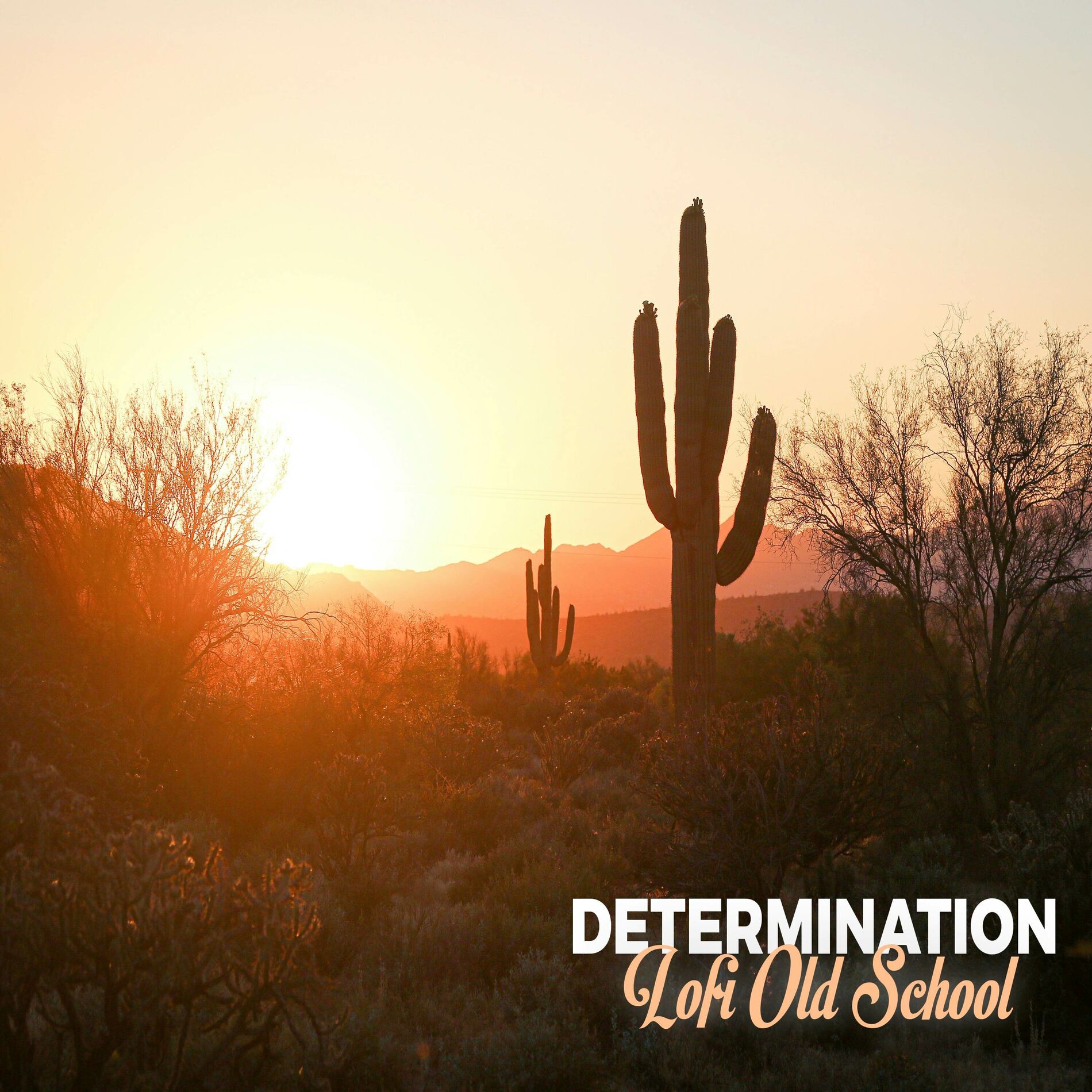 Album cover of Determination Lofi Old School