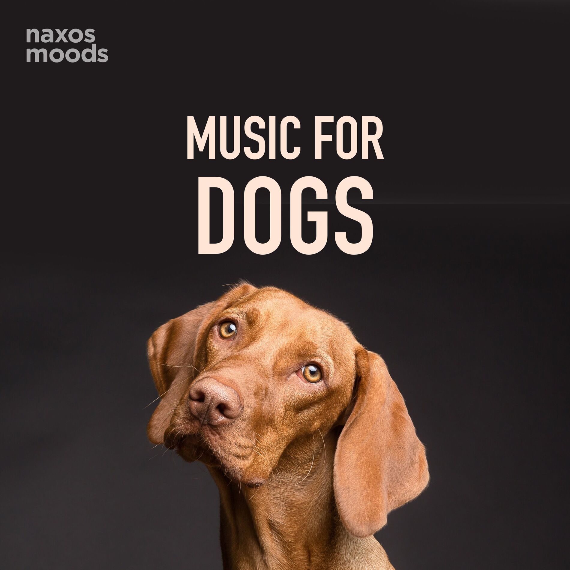 Album cover of Music for Dogs