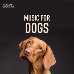Cover of Music for Dogs