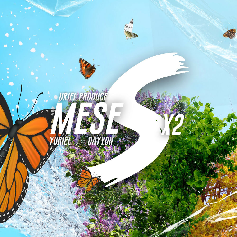 Meses X2 cover